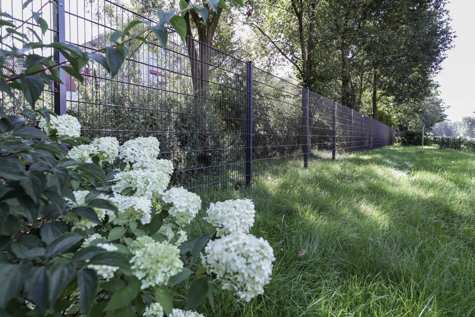 Komplettes Zaunset Premium Anthrazitgrau